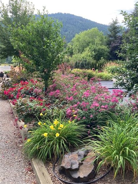 money tree cda|Money Tree Coeur d'Alene .